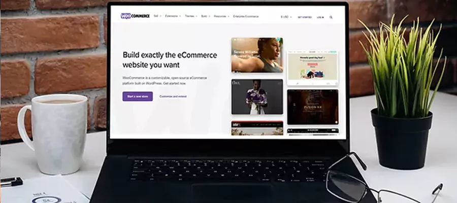 WooCommerce Development