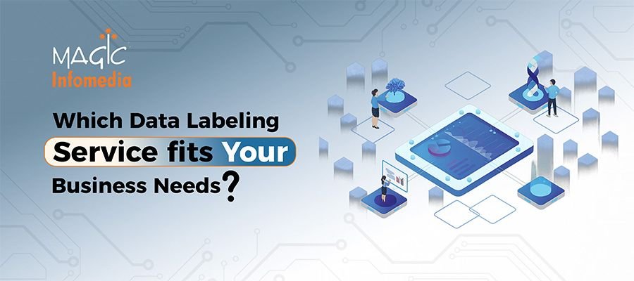 Which Data Labeling Service Fits Your Business Needs?