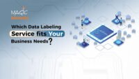Which Data Labeling Service Fits Your Business Needs?